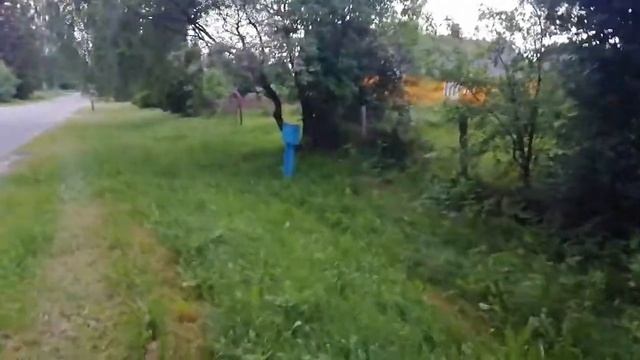 Самый бюджетный и надёжный забор в нашей деревне! смотреть онлайн
