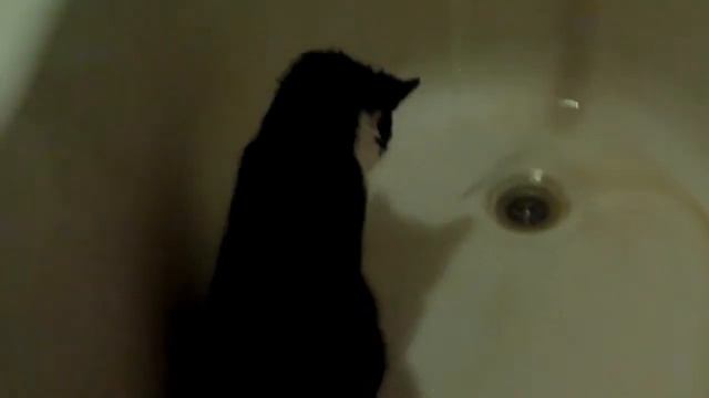 Храбрый Зая против воды))) смотреть онлайн