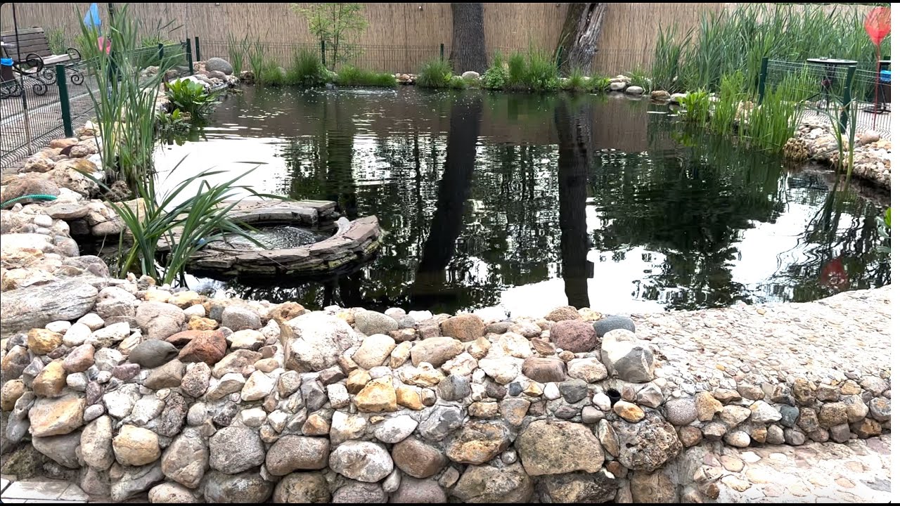 ЧИСТАЯ ВОДА В ПРУДУ ЛЕТО 2023, ЦВЕТЕТ ИРИС, РОГОЗ - КРАСОТА!!!!! смотреть онлайн