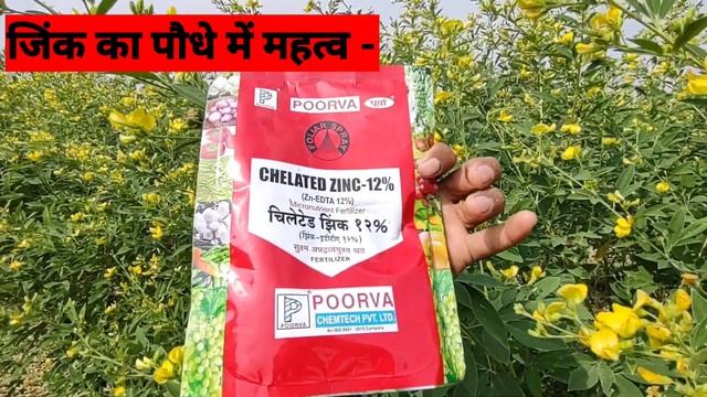 Chelated Zinc 12% || Micronutrient Fertilizer || Chemtech || Zn EDTA 12% || PGR || A2z Farming || смотреть онлайн