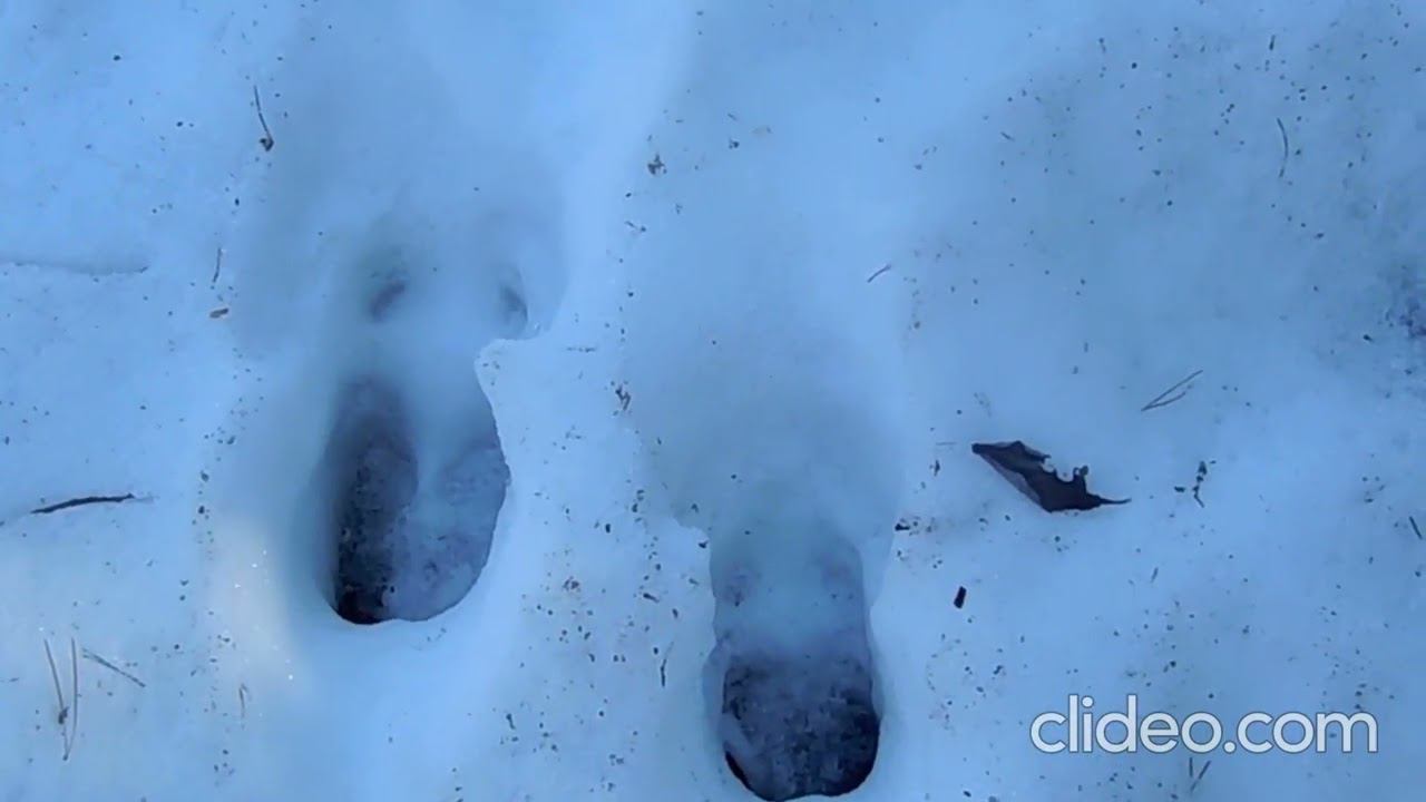 Природа пробуждается. смотреть онлайн