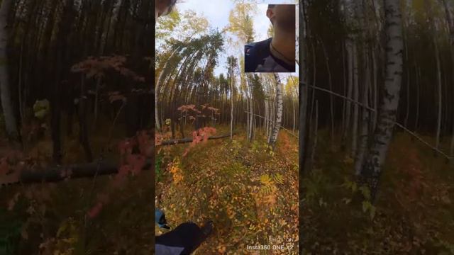Экскурсия по закопушкам смотреть онлайн