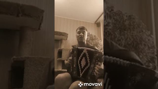 Тишина!!!(Растеряев) смотреть онлайн