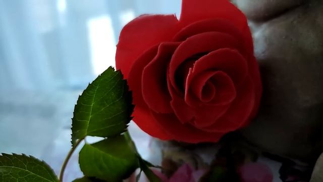 Подготовка к дню рождения. Праздник в семье. Самые родные и дорогие гости. Жизнь семьи в деревне. смотреть онлайн