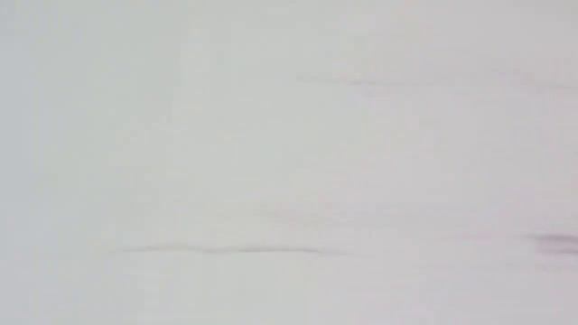 Покупки .Продвижение "Мистический грифон .СЛ-3397 Mystic guard. Миледи" смотреть онлайн