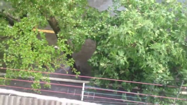 А дождик все идет смотреть онлайн