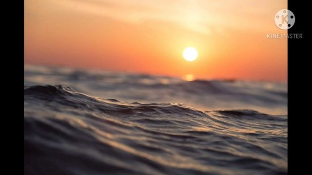 The Road Not Taken || Robert Frost смотреть онлайн