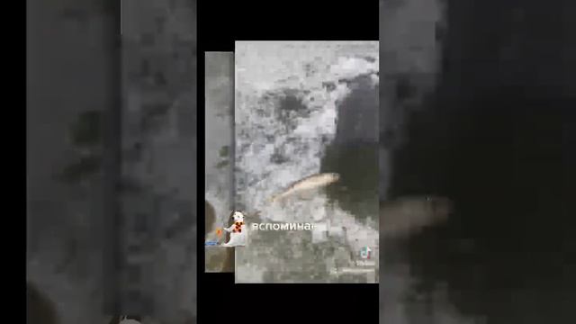 #зимняя #рыбалка #окунь #фото смотреть онлайн