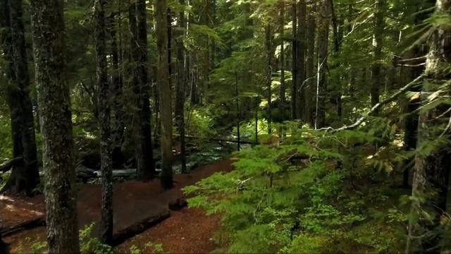 Гарри Поттер и Философский камень. смотреть онлайн