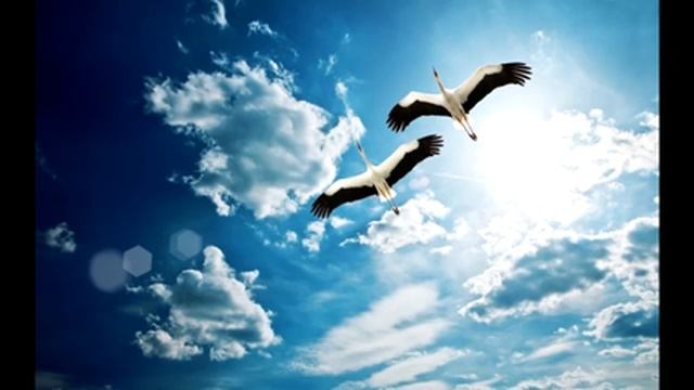 Парить так высоко я не умела. смотреть онлайн