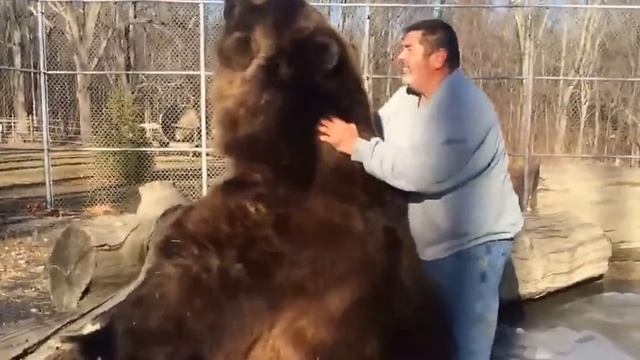 НЕОБЫЧНАЯ ДРУЖБА ЧЕЛОВЕКА И Медведя Гризли!Wrestling A Grizzly Bear In My Garden смотреть онлайн