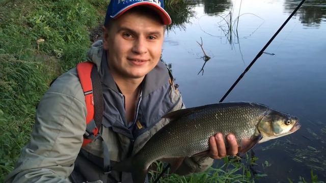 Жерех на воблер Zipbaits Rigge 70 S смотреть онлайн