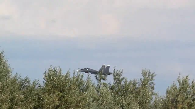 СОБАЧЬЯ ЖИЗНЬ / МОРЕ /КРЫМ 2016 смотреть онлайн