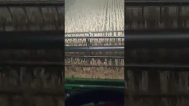 Тем временем собираем другой урожай)))) смотреть онлайн