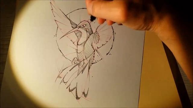 hummingbird sketch time lapse psdelux смотреть онлайн