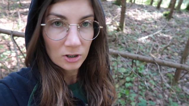 EDIBLE MUSHROOM HUNTING & SOUP RECIPE 2020. Types Of Mushrooms. Walking Around Russian Forest