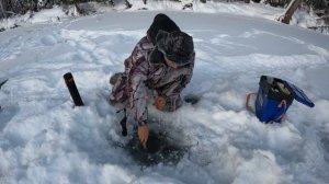 ЗИМНЯЯ РЫБАЛКА НА Электронную удочку  при -40°. Тестируем электронную удочку спутник.