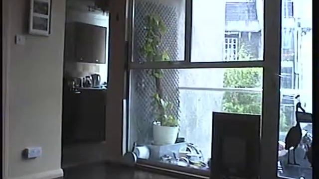 Test footage of Hitachi VM-E340E 8mm Camercorder смотреть онлайн