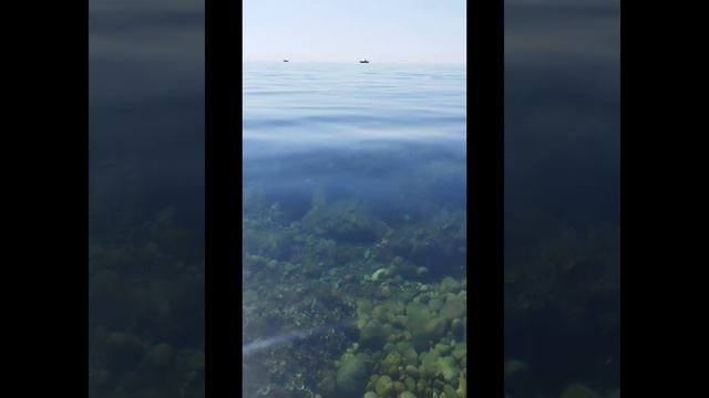 Пляж Инжир Балаклава смотреть онлайн