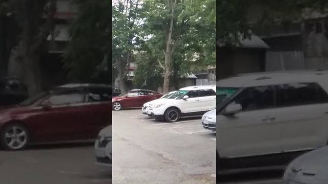 вороны нападают на людей - продолжение смотреть онлайн