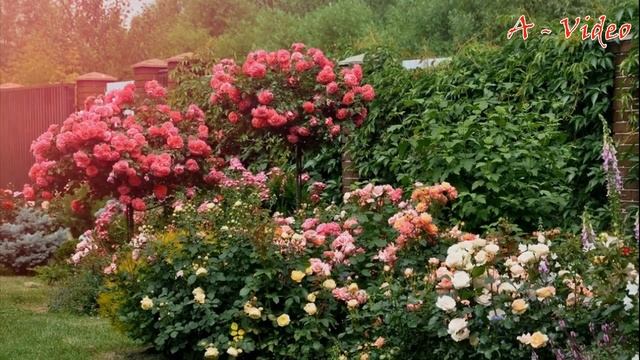 ?Идеи для загородного дома Ландшафтный дизайн и Обустройство / Landscaping ideas / A - Video смотреть онлайн