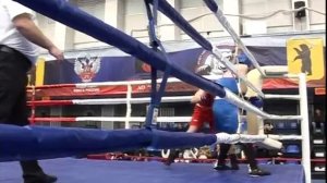 В Ярославле завершается Кубок Золотого кольца по боксу