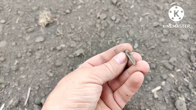 Ольвия. Очень маленькая монета и много наконечников стрел. смотреть онлайн