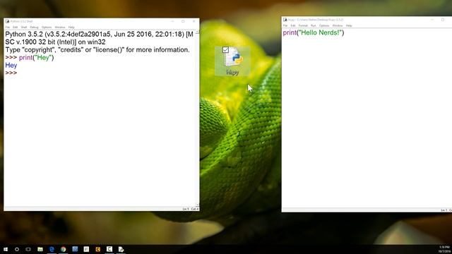 Your First Python Code! смотреть онлайн