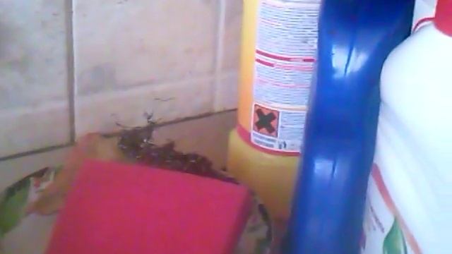 Вода из крана течет смотреть онлайн