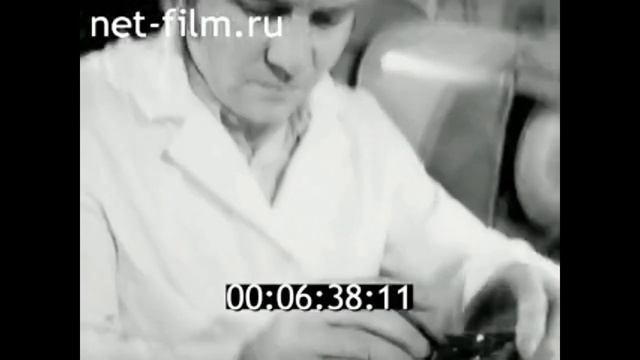 1977г. п. Янтарный. янтарный комбинат. Калининградская обл смотреть онлайн