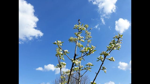 Подкаст - Медитация за мисия, продукт, пари смотреть онлайн