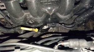 Стук двигателя Ford Focus 3 1.6 125лс.