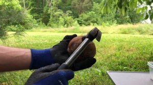 How to open coconut easily? Hammer to help! Как открыть кокос? Молотком?