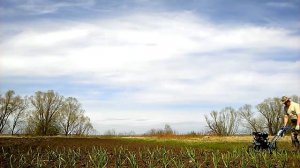 культиватор "КРОТ" на шести секциях фрез