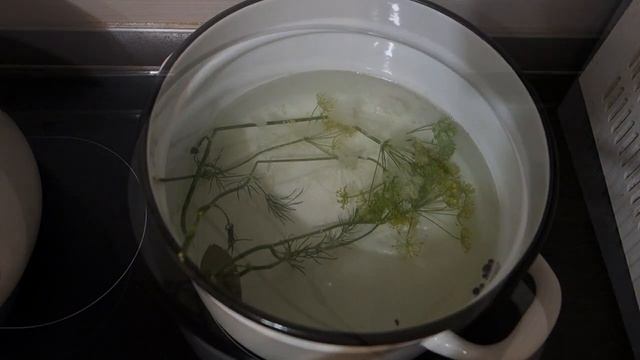 Фотография Моды и Глянцевых Журналов