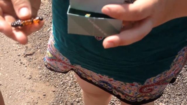 03.08.2018 Музей Ежа Петровича в Петровске Ярославской области смотреть онлайн