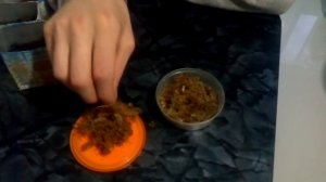 как посадить вишню из косточки