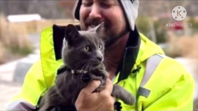 Обняв найденного кота, мужчина заплакал, как ребенок. Он уже и не верил, что вновь увидит питомца смотреть онлайн