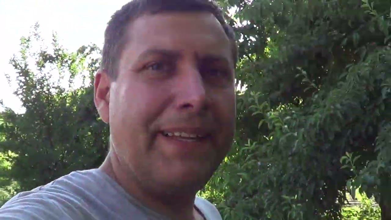 НИ С КЕМ НЕ ПОДЕЛЮСЬ / ВСЁ ПРОПАЛО / ЗАВАЛЯВШИЙСЯ ПОДАРОК смотреть онлайн