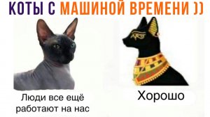 КОТЫ С МАШИНОЙ ВРЕМЕНИ ))) | Приколы | Мемозг 1293