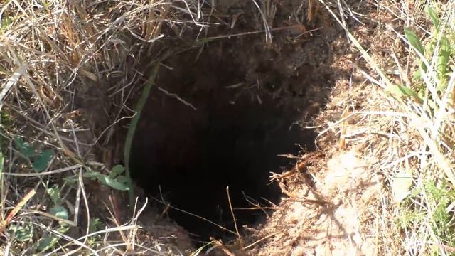 Земляная печь смотреть онлайн