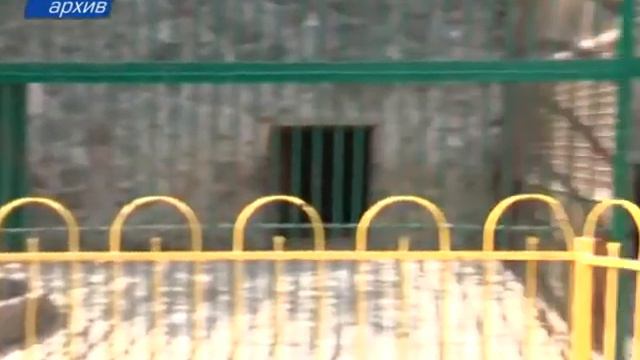 В Симферополе закрыли зооуголок после инцидента с травмированием ребенка смотреть онлайн