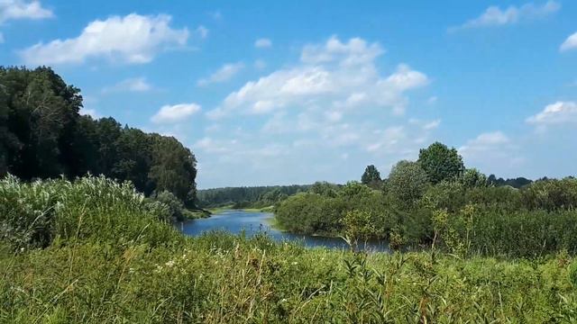 Река Сороть, вид со стороны городища, вниз по течению смотреть онлайн
