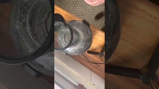 Aprendiendo a usar mi juguera Philips. смотреть онлайн