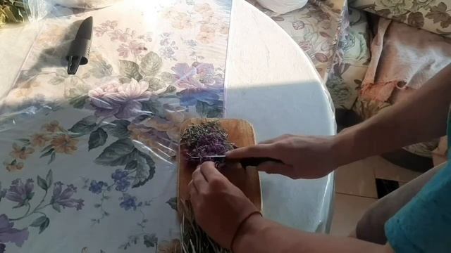 Кулинарный творческий процесс