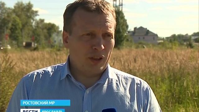 Зеленый горошек вернулся на поля Ростовского района смотреть онлайн