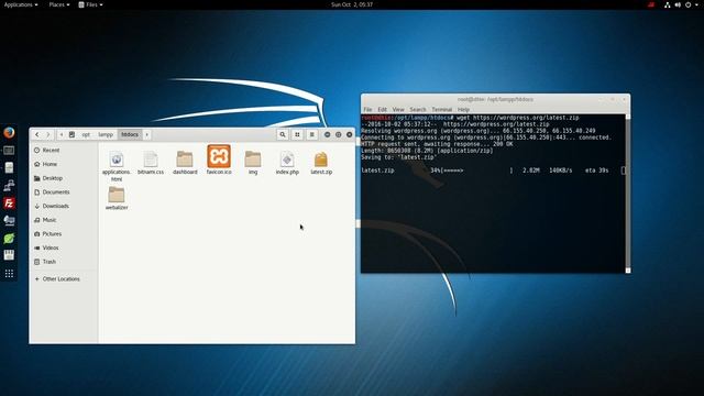 Install Wordpress Localhost on Linux With Xampp смотреть онлайн