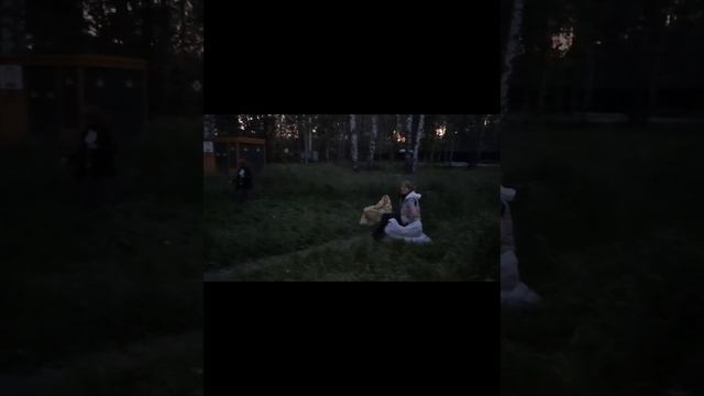 Лошади хотят свежей травы! Но её надо добыть. Косим лошадям траву по ночам. смотреть онлайн