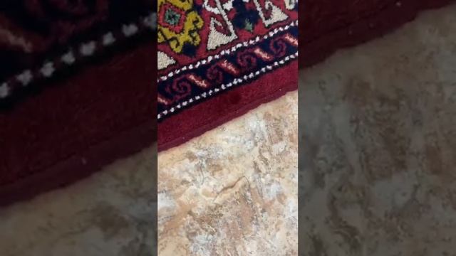химчистка ковра экстрактором SANTOEMA. КВАДРАТ смотреть онлайн