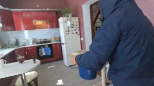 Что делать если в дом залетела летучая мышь?